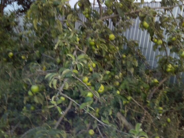 Участок 8 сот. (ИЖС)