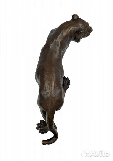 Тигр бронзовый