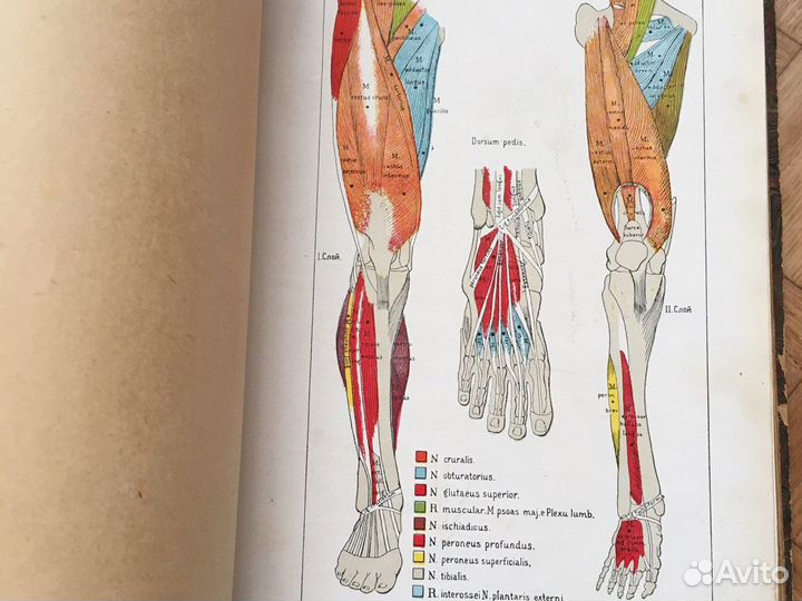 Хирургическая невропатология 1917.Пуссеп