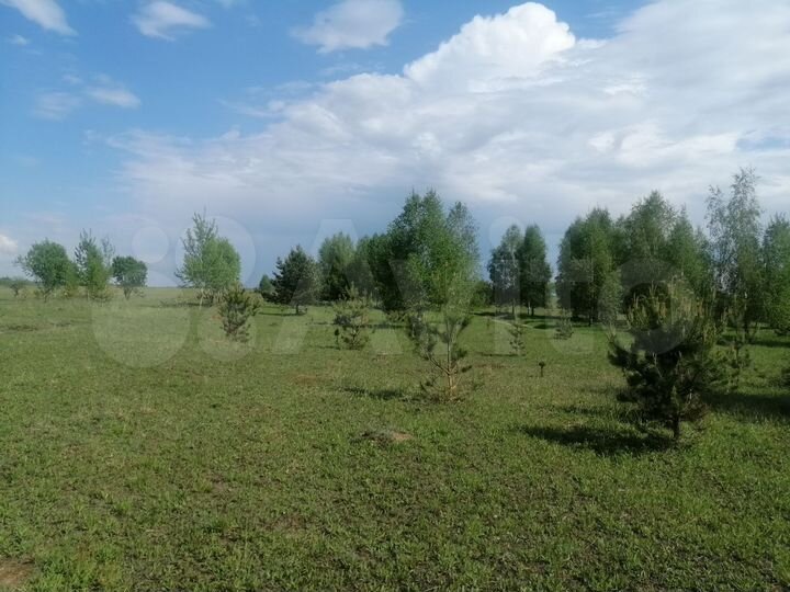 Участок 50 сот. (ИЖС)