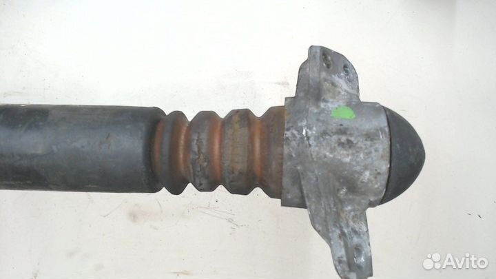 Амортизатор подвески Volkswagen Tiguan, 2011