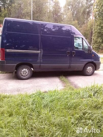 Услуги по грузоперевозкам