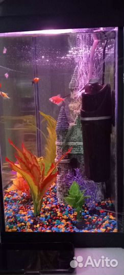 Аквариум 75 литров с тумбой