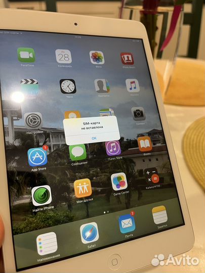 iPad mini 1