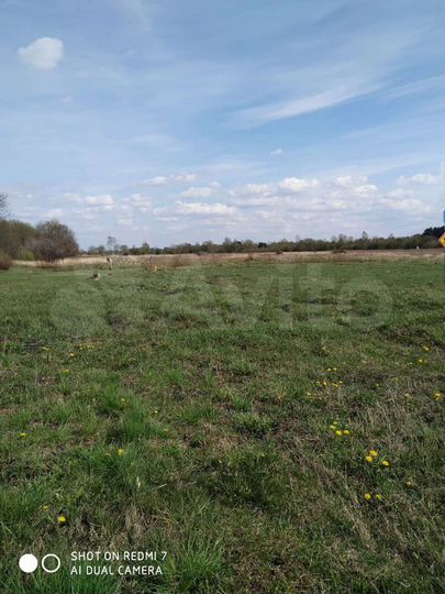 Участок 13 сот. (СНТ, ДНП)