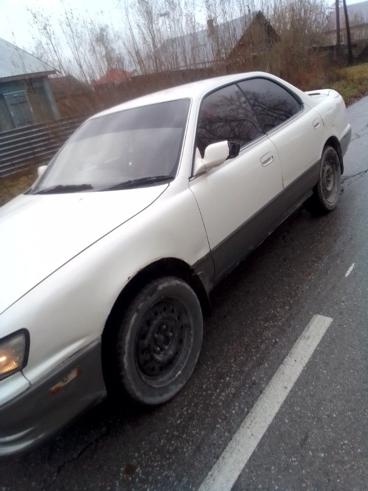 Toyota Vista: фото владельца