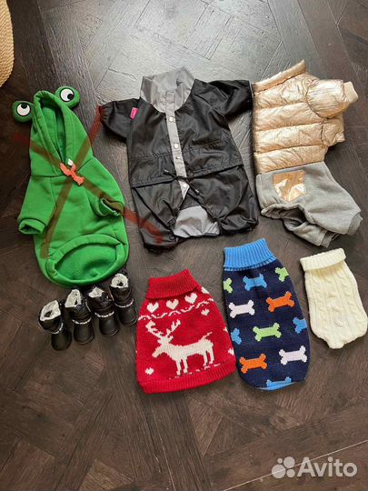 Одежда и обувь для маленькой собачки, разное