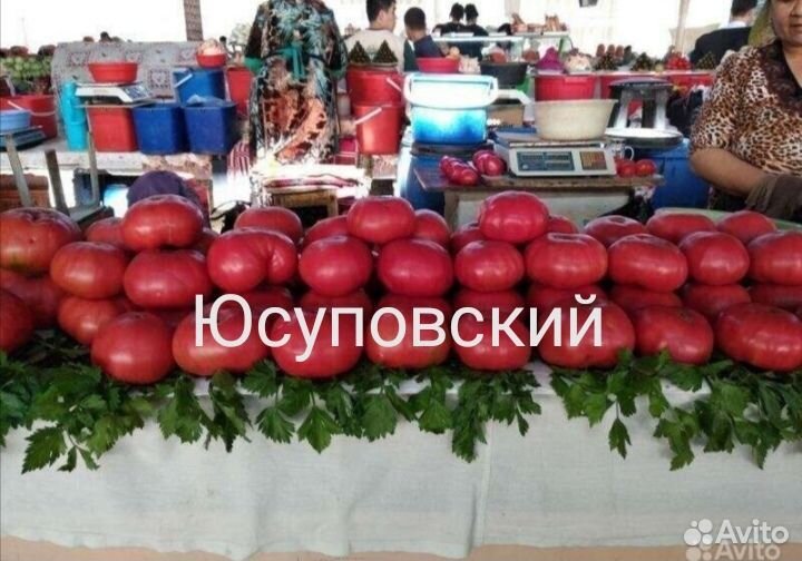 Семена томатов