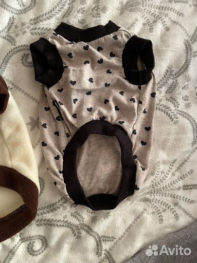 Вещи на кошку или собаку маленькой породы