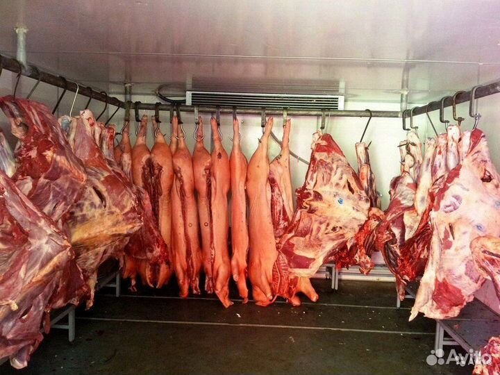 Холодильная камера для мясокомбината