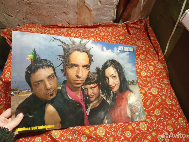 Плакат мси почти живой