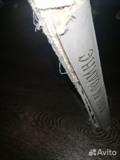 Шопен на родине