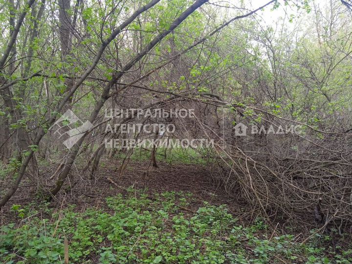 Дом 33 м² на участке 25,3 сот.