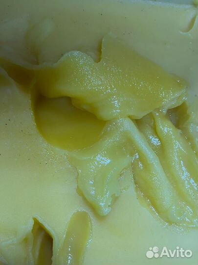 Свежий мед 2023года