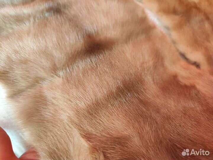 Мех норки шкурки