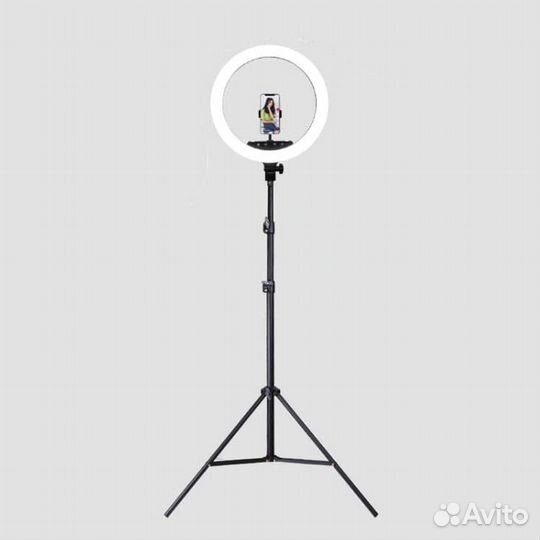 Кольцевая, цветная лампа LED 32 см