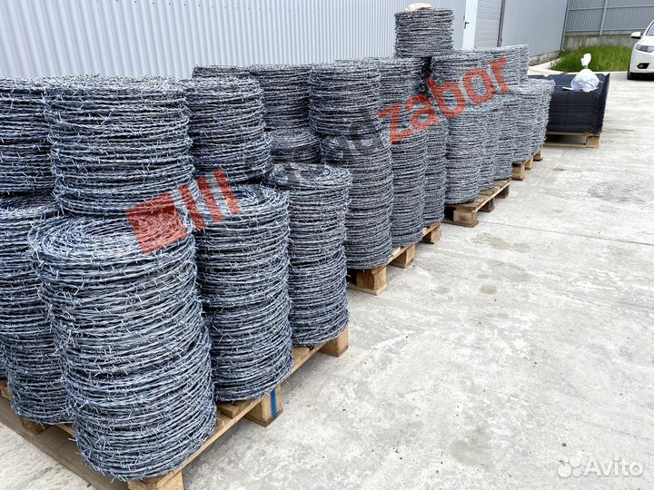 Колючая проволока / Егоза / акл