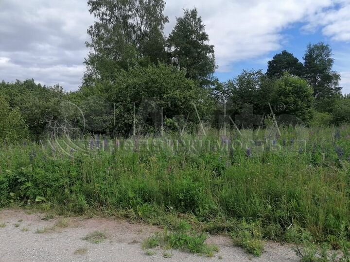 Участок 10 сот. (СНТ, ДНП)