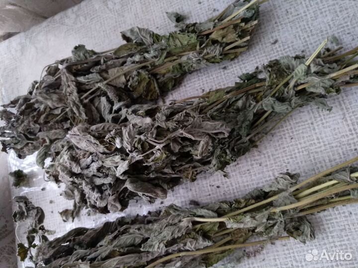 Мята сушеная