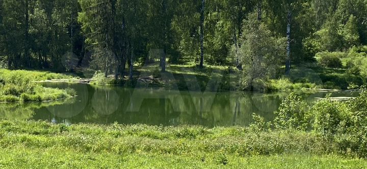 Участок 3,9 га (СНТ, ДНП)