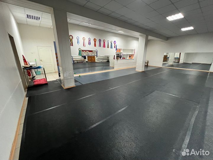 Клуб для собак