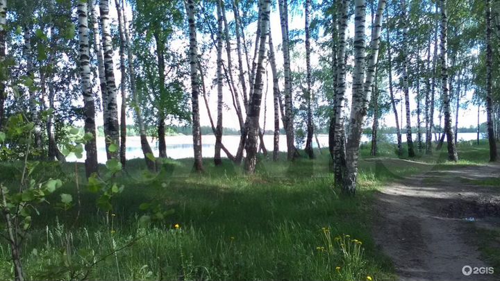 Участок 10 сот. (ИЖС)