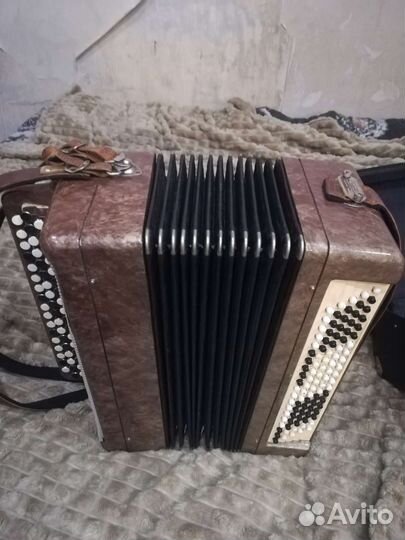 Баян тула
