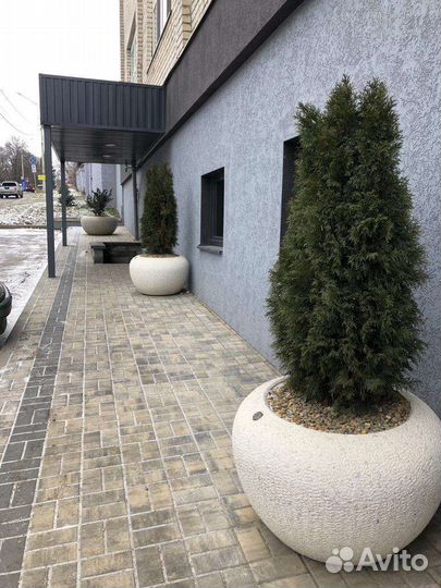 Кондитерский цех