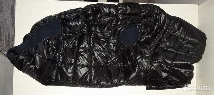 Жилет демисезонный для собаки