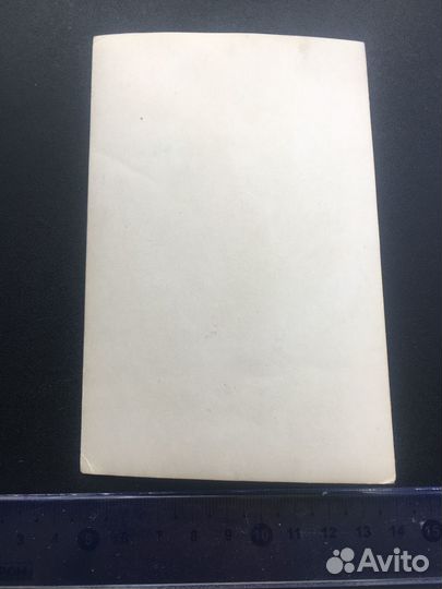 Фотоаппарат мужчина природа