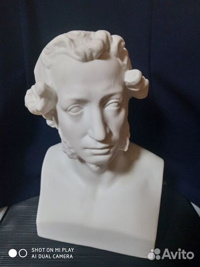 Бюст Пушкина Александра Сергеевича