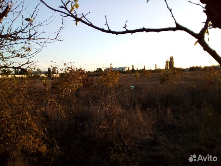 Покос травы триммером