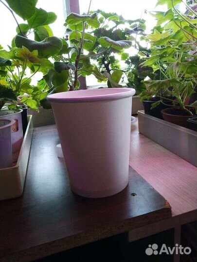 Бумажные стаканы 900 мл пищевые для рассады