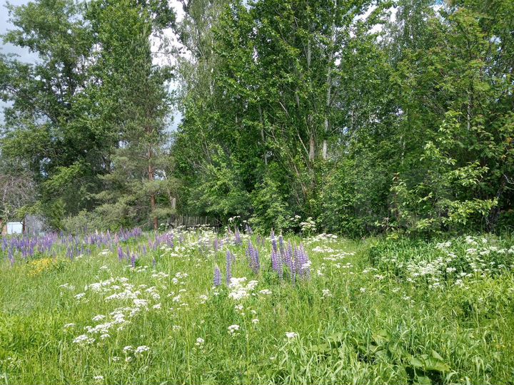 Дача 20 м² на участке 7 сот.