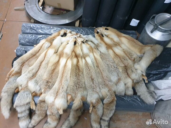 Мех лисы шкура лисы