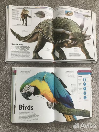 Книги Dinosaur и The Animal Book - энциклопедии