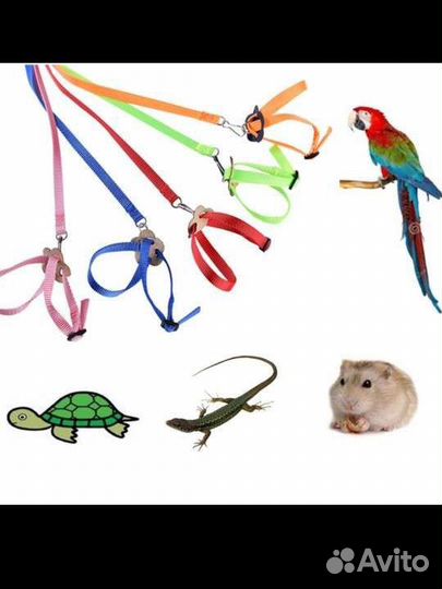 Ошейник для питомцев