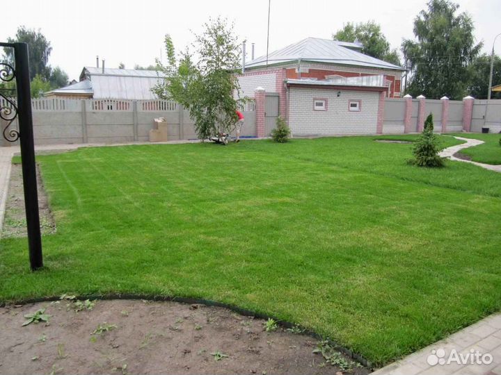 Рулонный газон /продажа/укладка