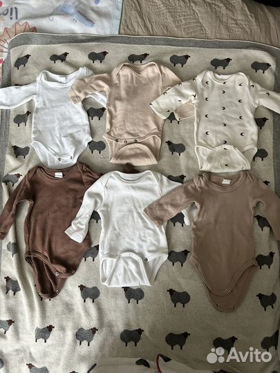 Боди 56 размер