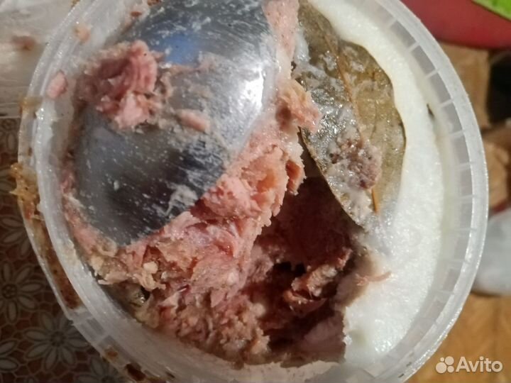 Мясо для собак