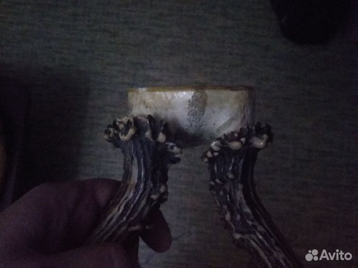 Рога косули