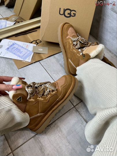 Угги ugg lowmel натуральные