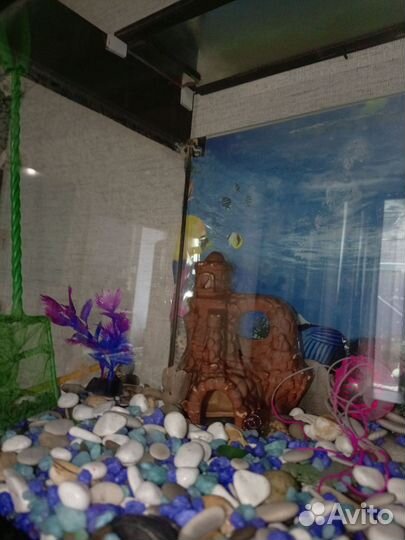 Аквариум 35 литров