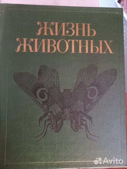 Энциклопедия