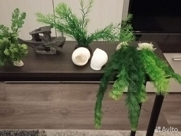 Растения для аквариума и террариума с декорацией