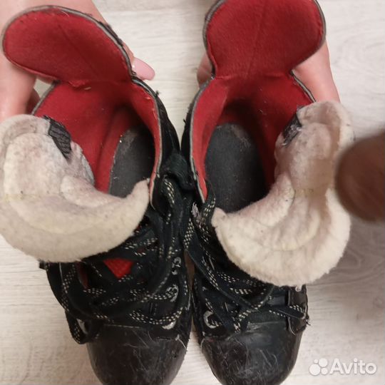 Коньки bauer vapor x500