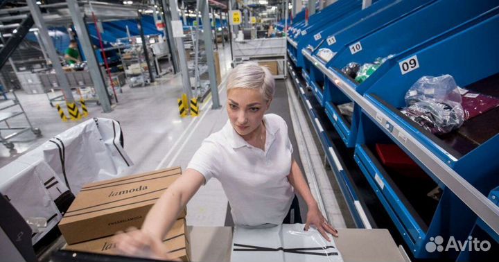 Сортировщик интернет заказов на склад