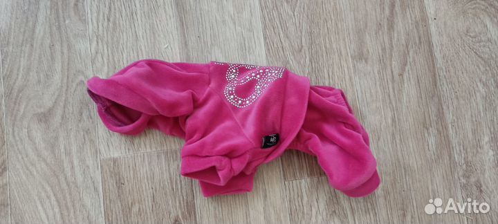 Одежда для mini собаки