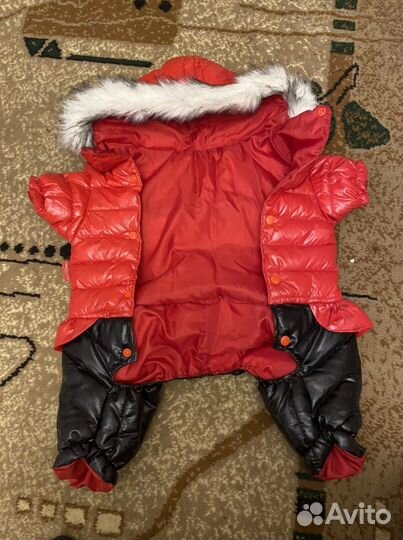 Куртка для маленькой собаки