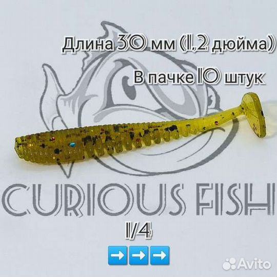 Curious Fish Saruna 1,2 дюйма (30мм)